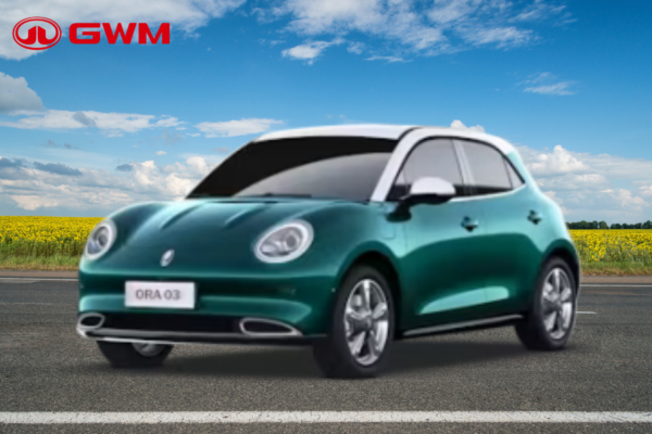 GWM ORA 03